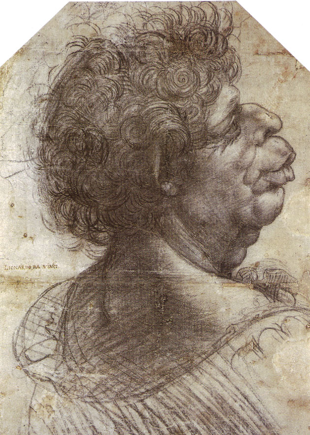 Study of Oak Leaves with Acorns and Dyer's Greenweed by Leonardo da Vinci, red chalk, c. 1505-1510