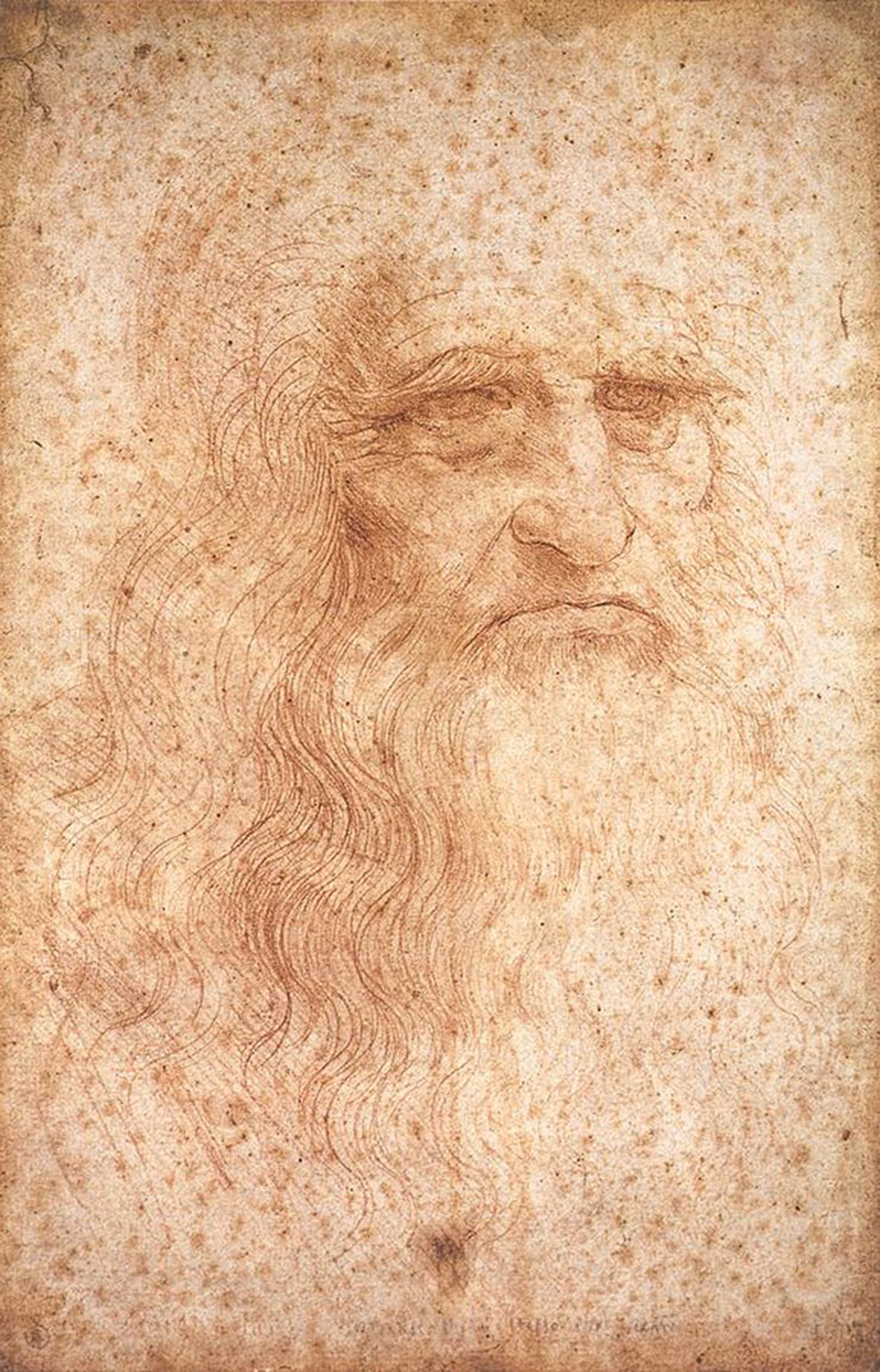 Self-Portrait by Leonardo da Vinci, red chalk on paper, c. 1512-1515, Biblioteca Reale, Turin