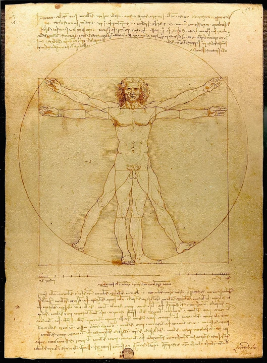 Vitruvian Man, a figure within a circle and square